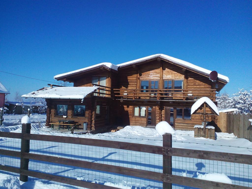 Casa Muntelui - Sambata Sâmbăta de Sus Exterior foto