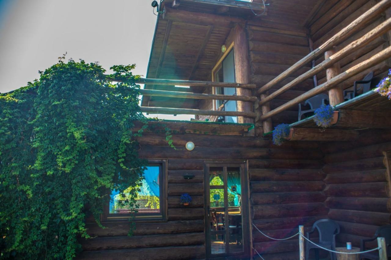 Casa Muntelui - Sambata Sâmbăta de Sus Exterior foto
